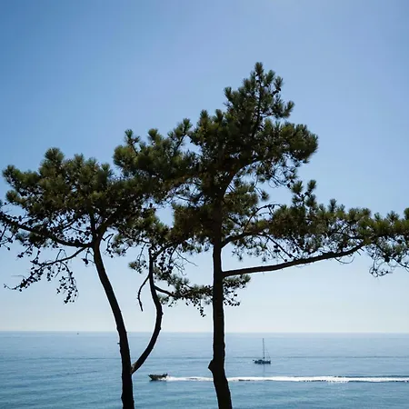 W Residences Algarve Отель Албуфейра