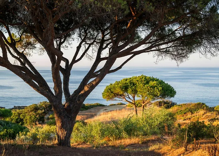 W Residences Algarve 5*