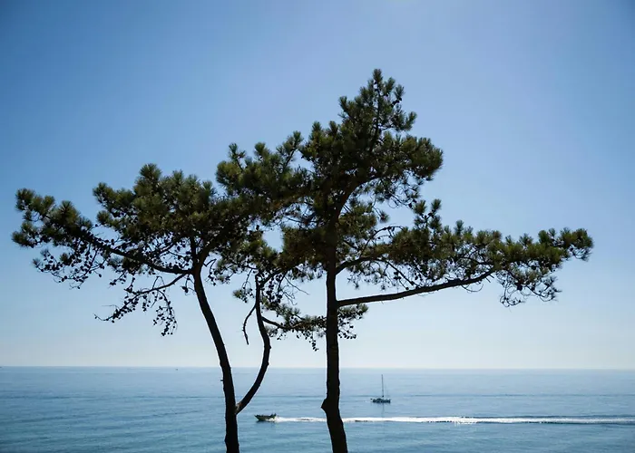 W Residences Algarve Hotel Albufeira