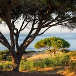 W Residences Algarve 5*